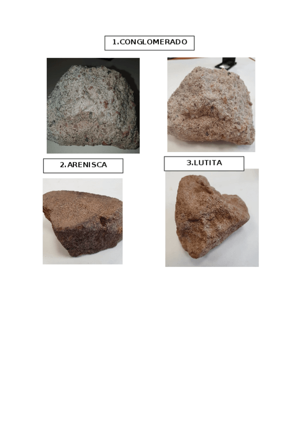 Miniatura del documento PRACTICA-3-ROCAS-SEDIMENTARIAS-Y-DE-PROTOLITO-SEDIMENT.docx
