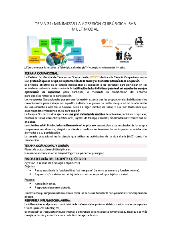 Miniatura del documento temas-31-33.pdf