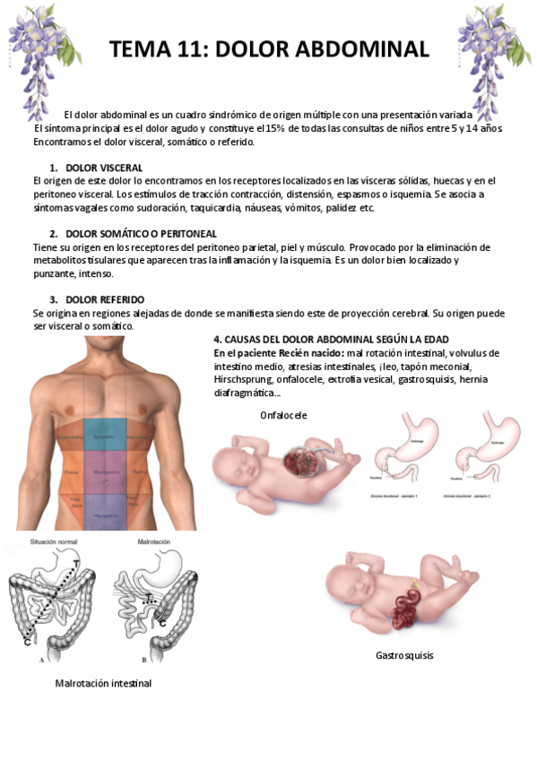 Miniatura del documento TEMA-11.pdf