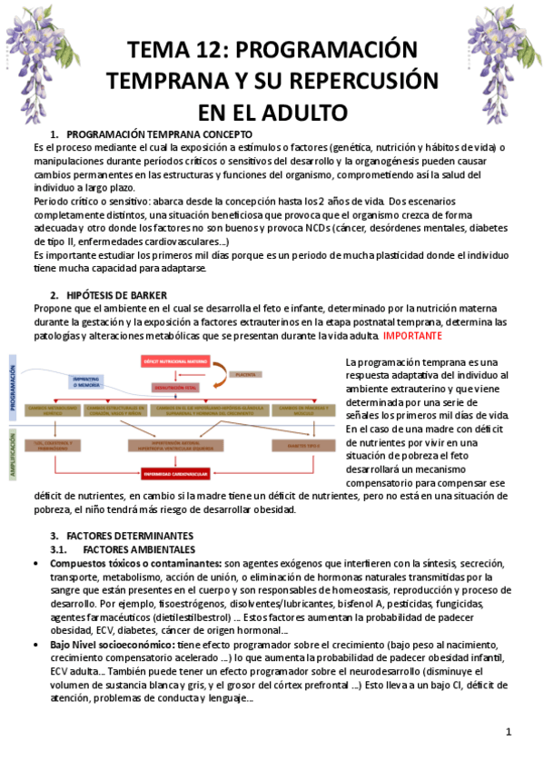 Miniatura del documento TEMA-12.pdf