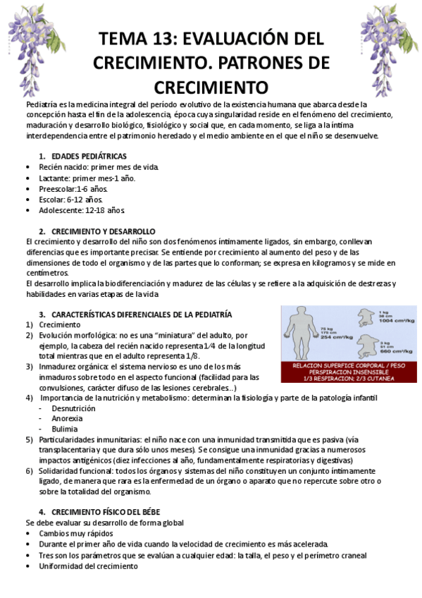 Miniatura del documento TEMA-13.pdf