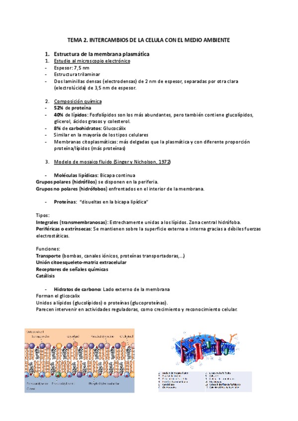 Miniatura del documento Intercambios-de-la-celula-con-el-medio-ambiente.pdf