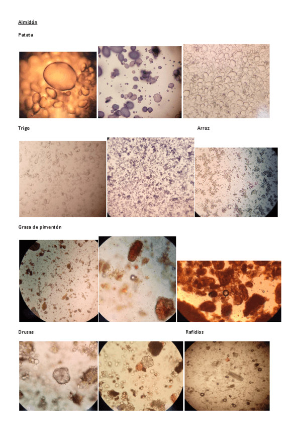 Miniatura del documento Prácticas farmacognosia.pdf