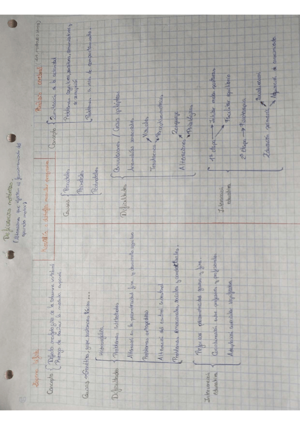 Miniatura del documento Deficiencias-motoricas.pdf