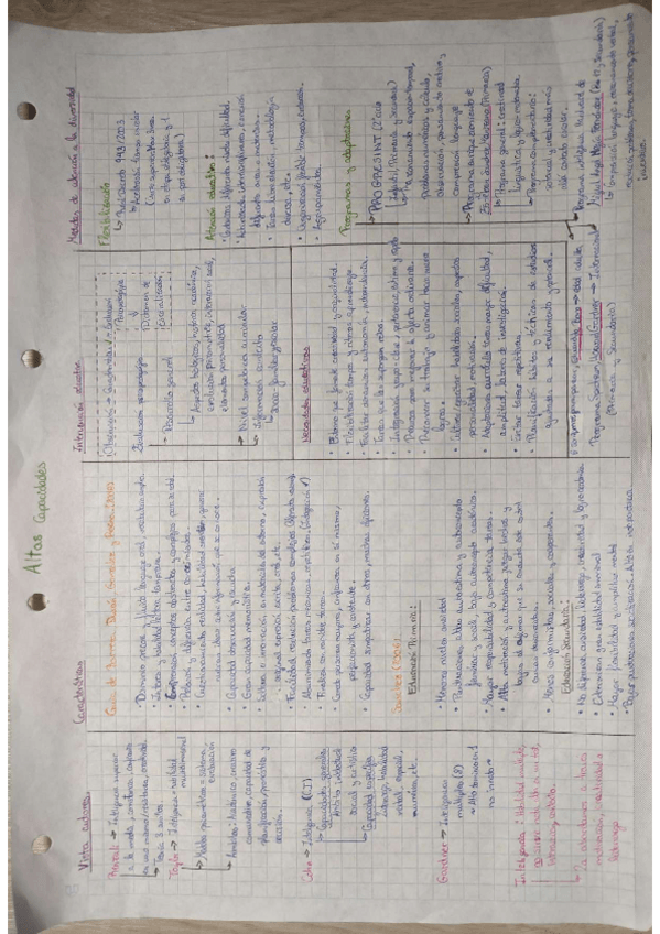 Miniatura del documento Altas-capacidades.pdf