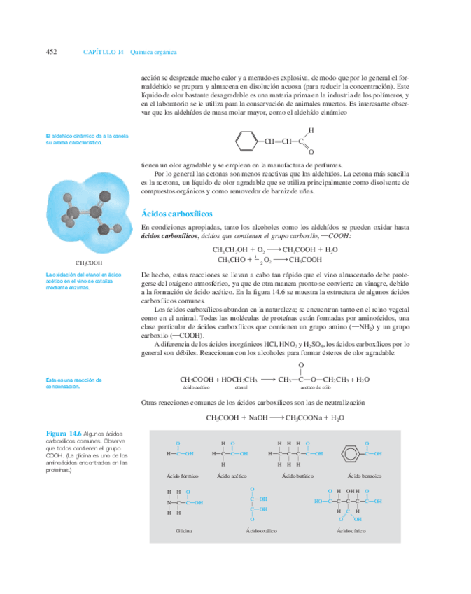 Miniatura del documento 475-494.pdf