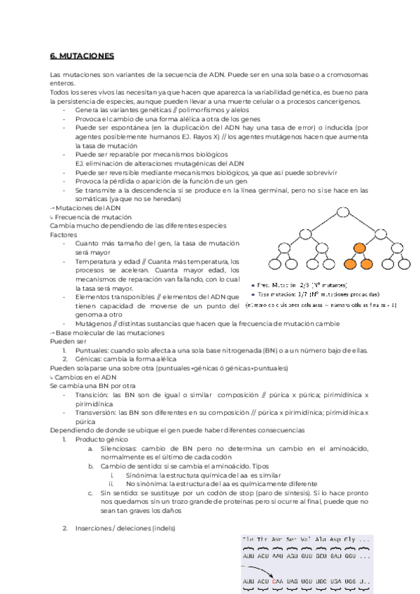 Miniatura del documento 6.-GENETICA.pdf