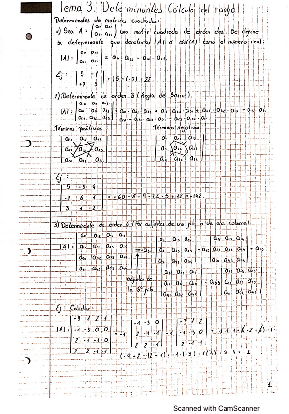 Miniatura del documento Tema-3-Determinantes-con-ejercicios.pdf
