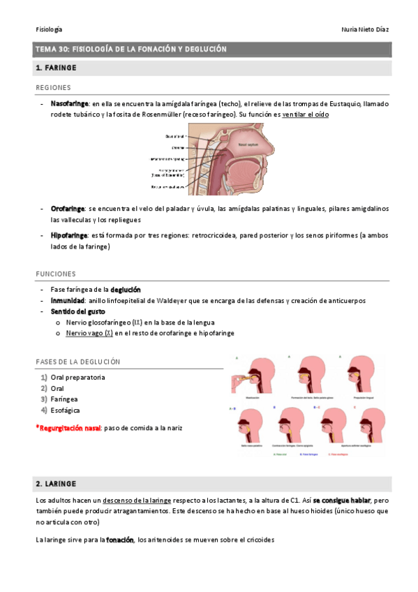 Miniatura del documento TEMA 30 - Fisiología fonación y deglución.pdf