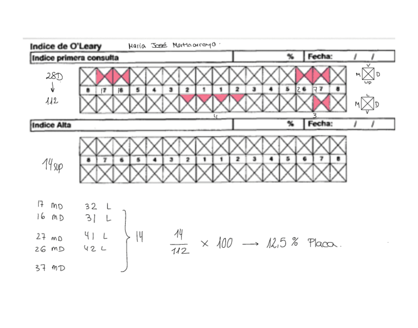 Miniatura del documento oleary.pdf