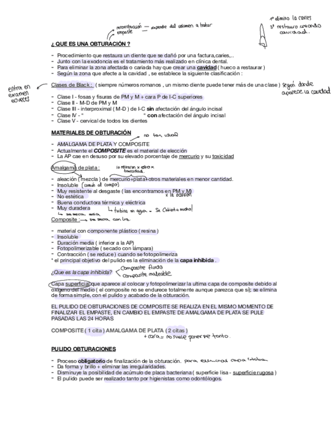 Miniatura del documento Pulido.pdf