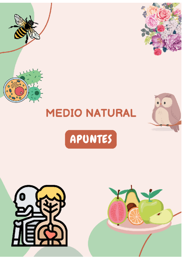 Miniatura del documento APUNTES-MEDIO-NATURAL.pdf