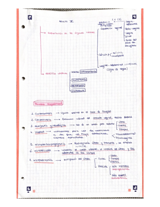 Miniatura del documento T1.pdf