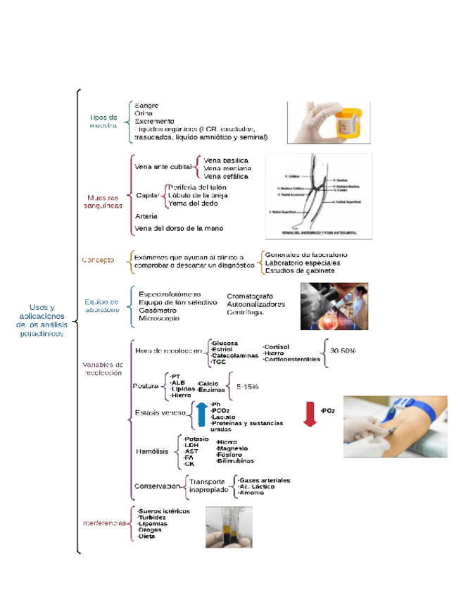 Miniatura del documento Tabulador-unidad-1.pdf