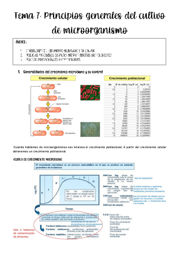 Miniatura del documento tema-7-biotec-microbiana.pdf