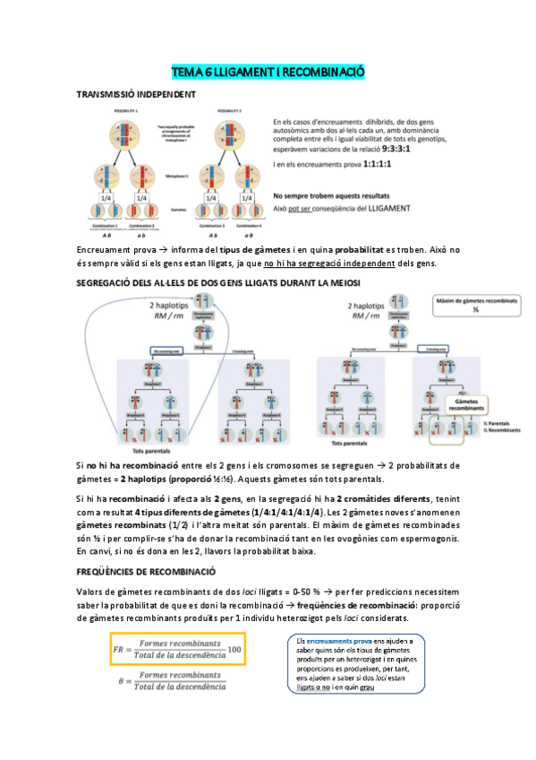 Miniatura del documento Apunts-genetica-P2.pdf