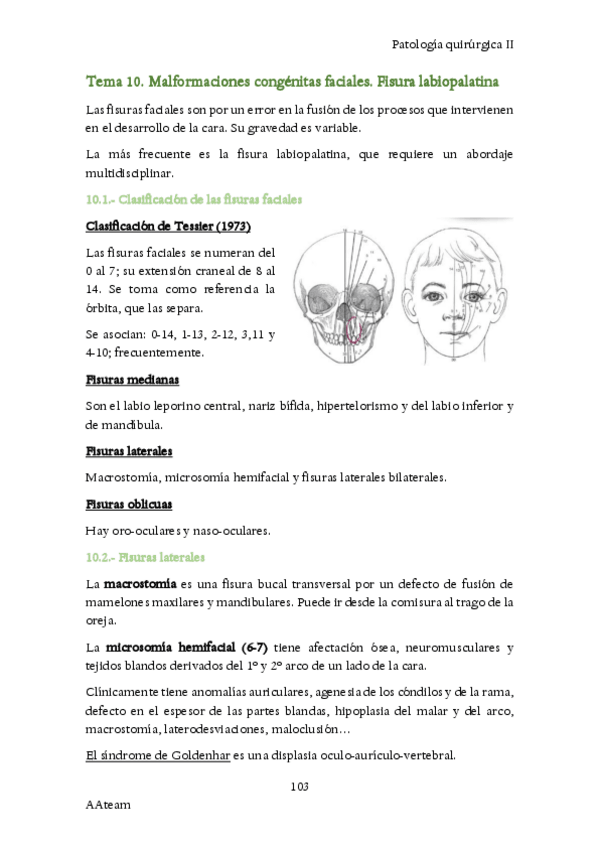 Miniatura del documento T10-PQ-II.pdf