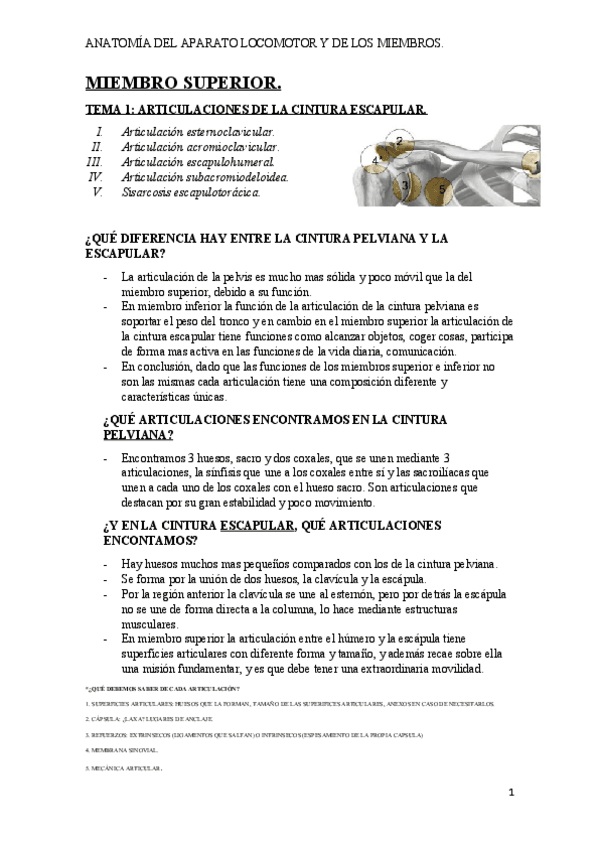 Miniatura del documento MIEMBRO-SUPERIOR-HASTA-TEMA-10 IRENE ALEGRÍA.pdf