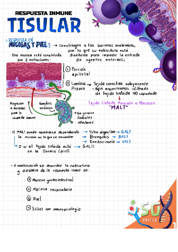 Miniatura del documento Inmunotas-B3.pdf