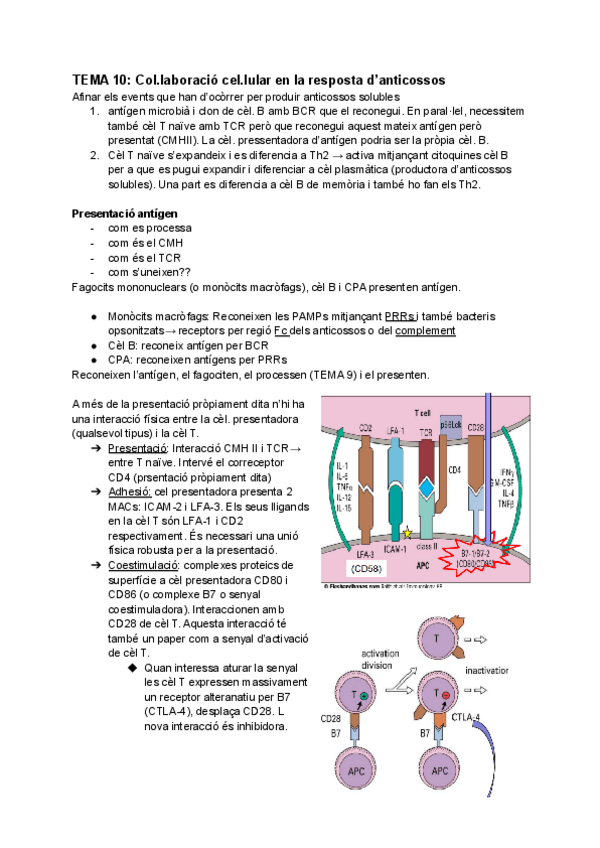 Miniatura del documento INMUNO-Tema-10.pdf