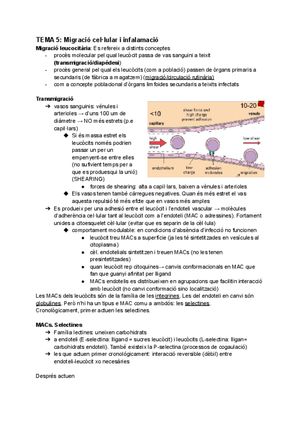 Miniatura del documento INMUNO-Tema-5.pdf