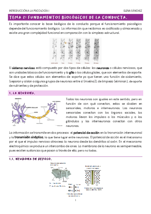 Miniatura del documento TEMA-2-PSICOLOGIA.pdf