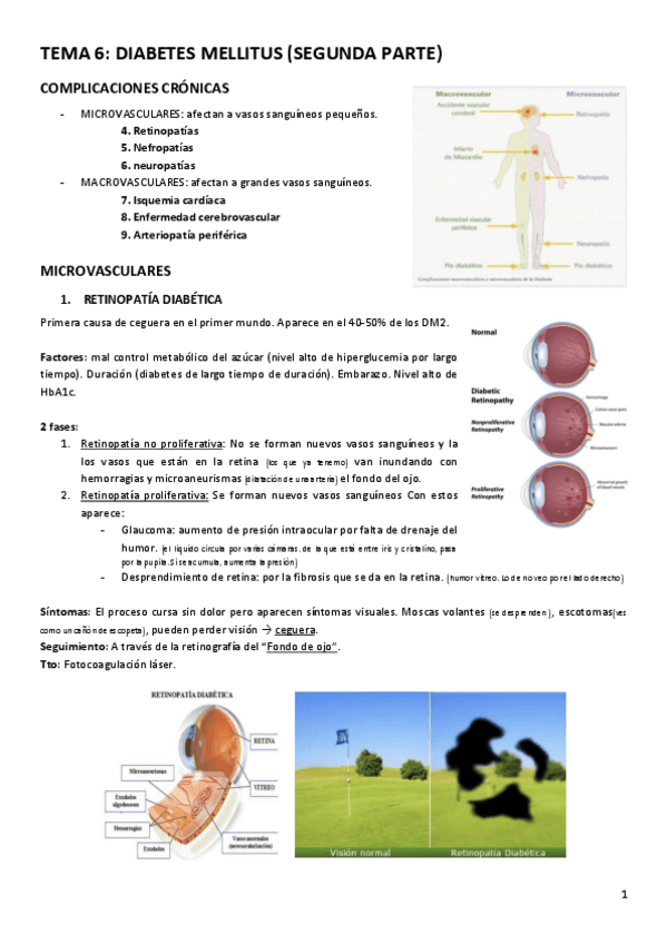 Miniatura del documento TEMA-6.pdf