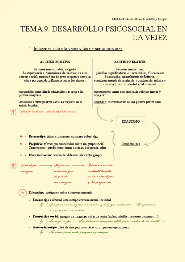 Miniatura del documento TEMA-9.-Desarrollo-psicosocial-en-la-vejez.pdf