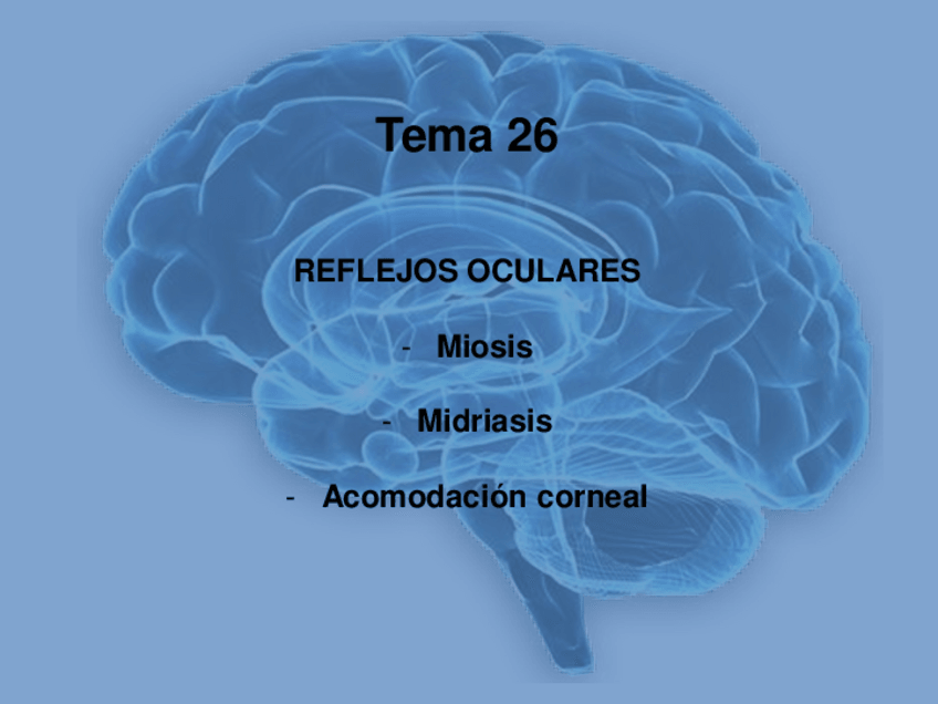 Miniatura del documento Tema-26.pdf