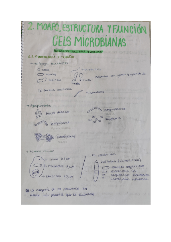 Miniatura del documento tema-2-micro.pdf