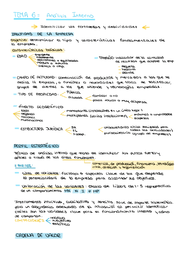 Miniatura del documento TEMA-6-Analisis-Interno.pdf