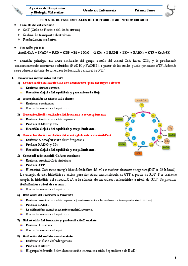 Miniatura del documento TEMA 10.pdf