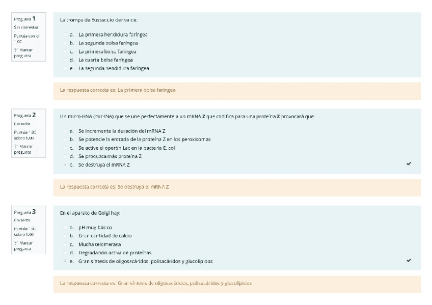 Miniatura del documento BIO-CONVOCATORIA-EXTRAORDINARIA-BIO.pdf