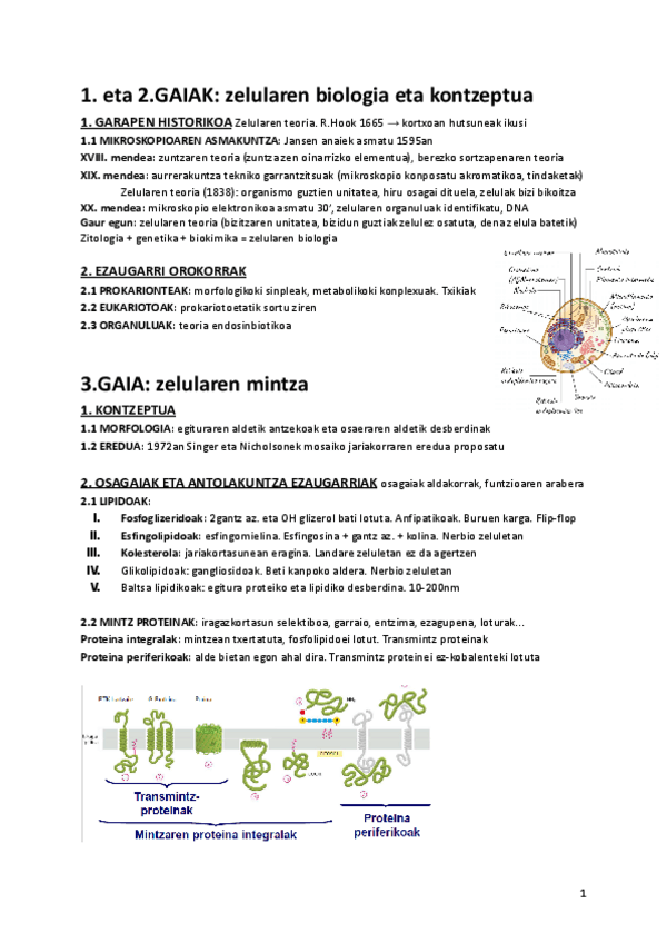 Miniatura del documento Biologia-zelularraren-laburpena.pdf