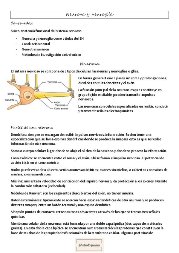 Miniatura del documento Neuro-B-final.pdf