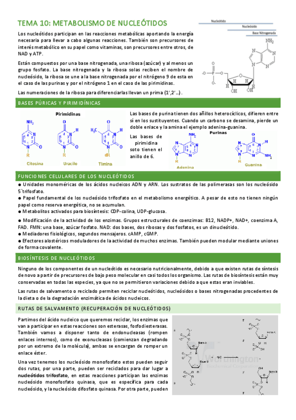 Miniatura del documento Tema-10.pdf