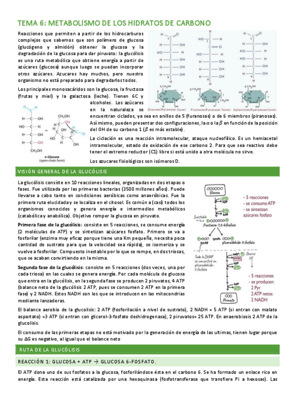Miniatura del documento Segundo-parcial.pdf