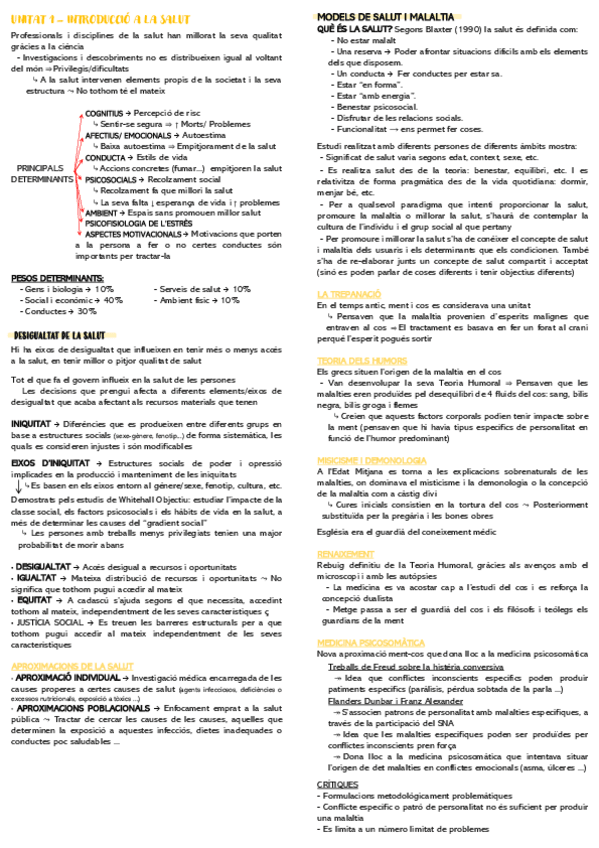 Miniatura del documento RESUMEN-T-1.pdf