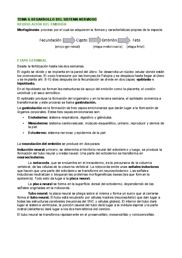 Miniatura del documento Apuntes-T4-Psicologia-fisiologica.pdf