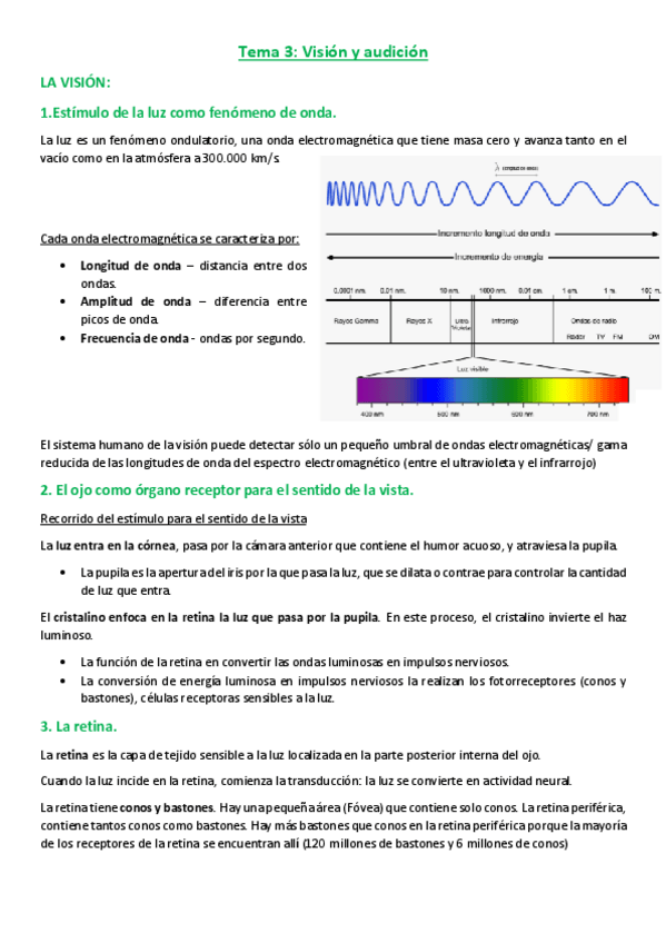 Miniatura del documento SPA-Tema-3.pdf