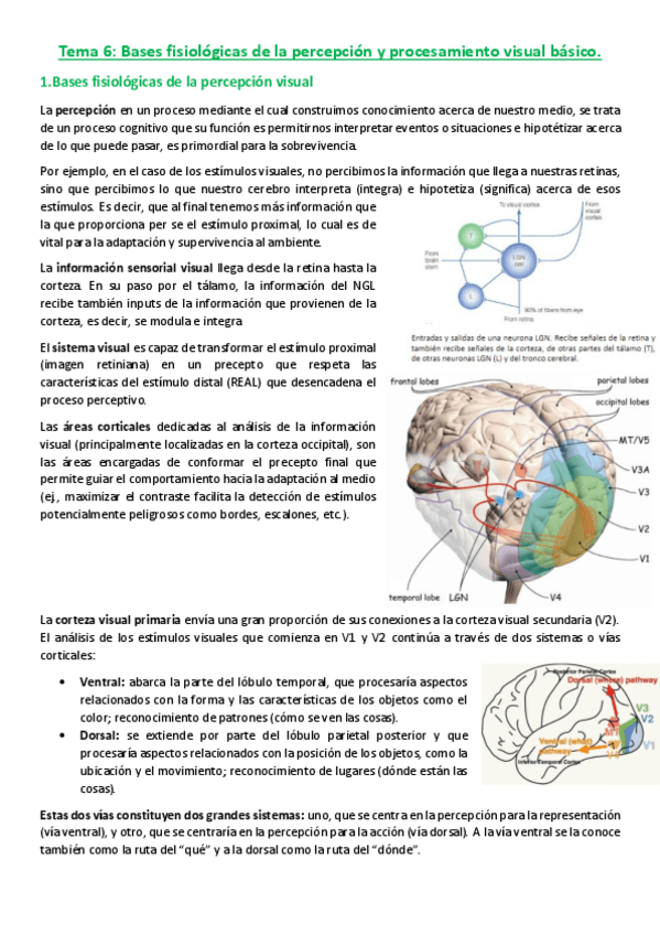 Miniatura del documento SPA-Tema-6.pdf