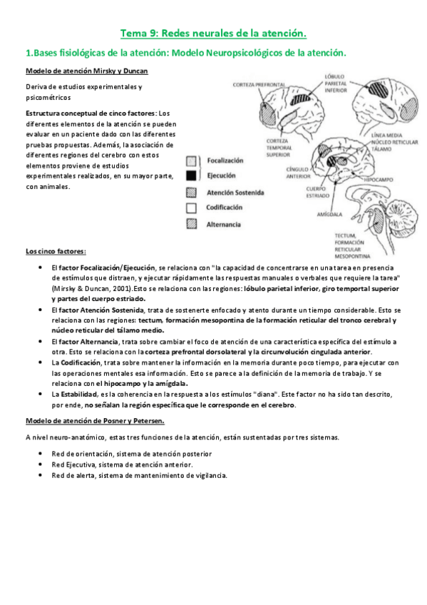 Miniatura del documento SPA-Tema-9.pdf