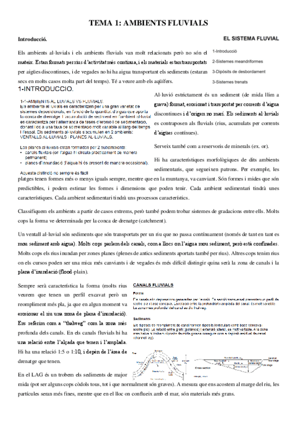 Miniatura del documento Apunts-TEMA-1.pdf
