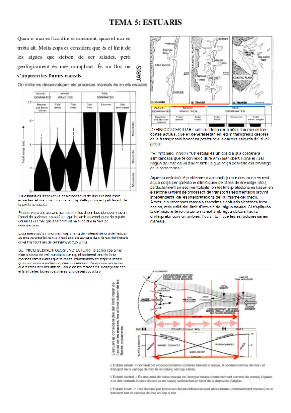 Miniatura del documento Apunts-TEMA-5.pdf
