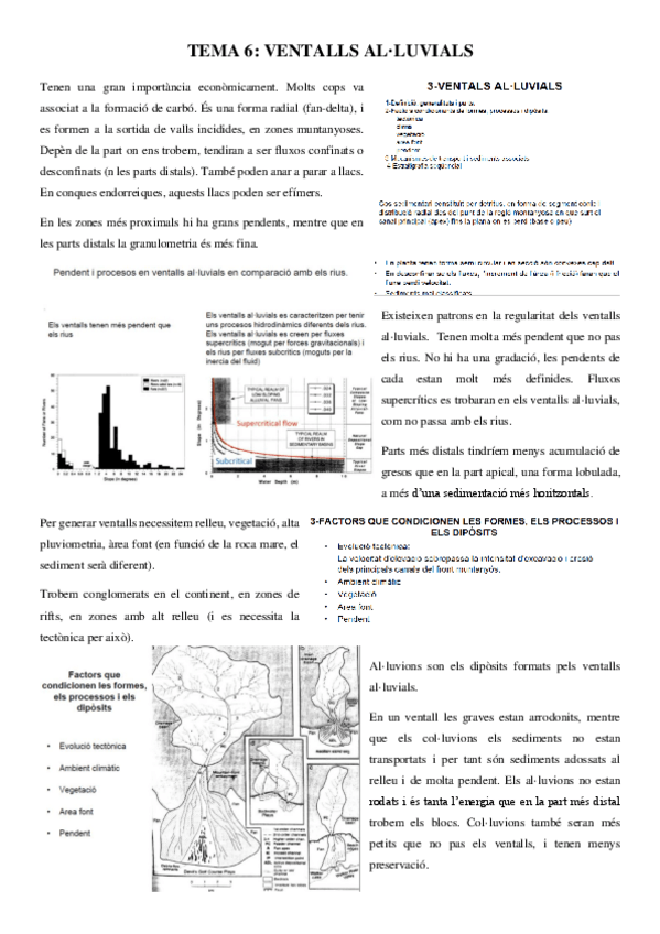 Miniatura del documento Apunts-TEMA-6.pdf