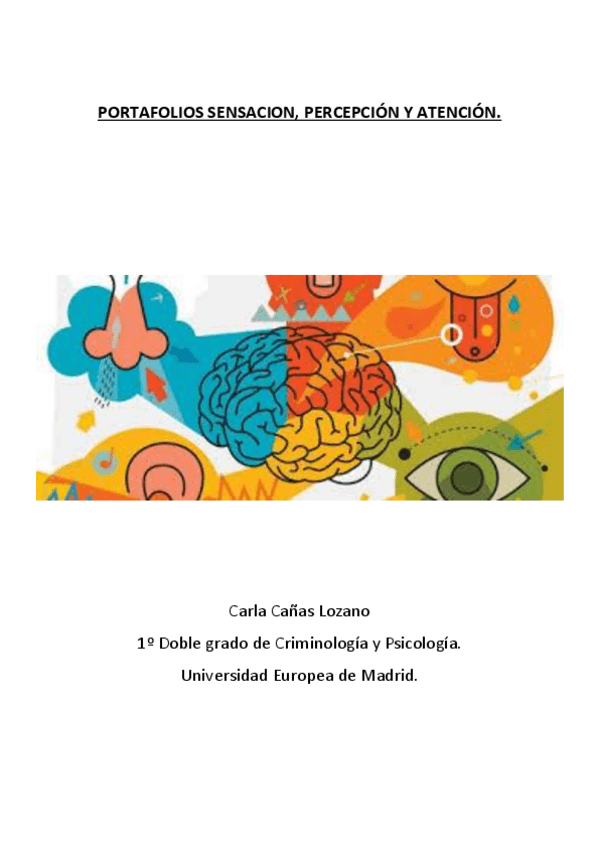 Miniatura del documento PORTAFOLIOS-SPA.pdf