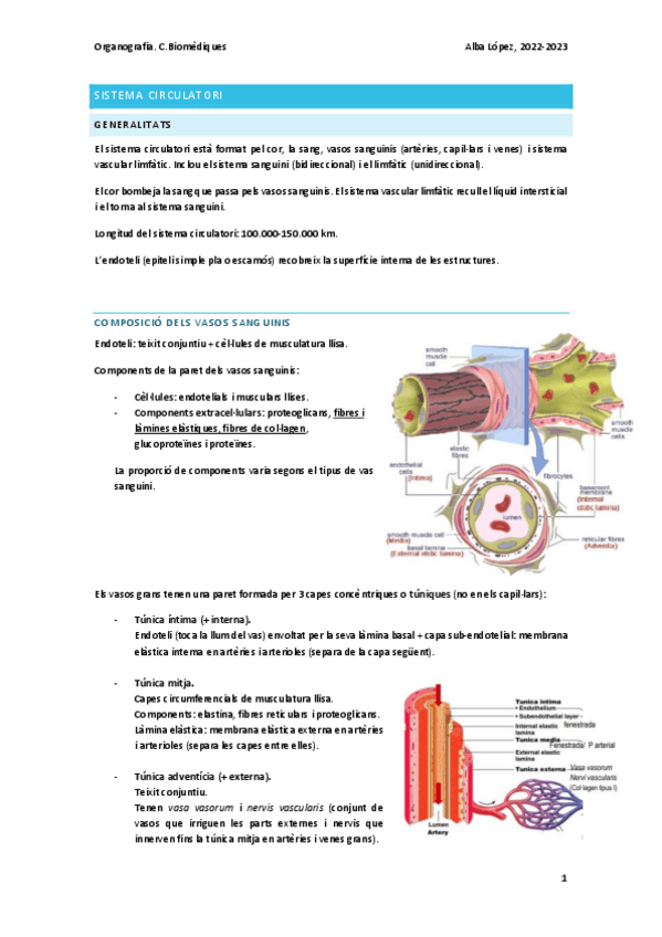 Miniatura del documento Tema-10-sistema-circulatori.pdf