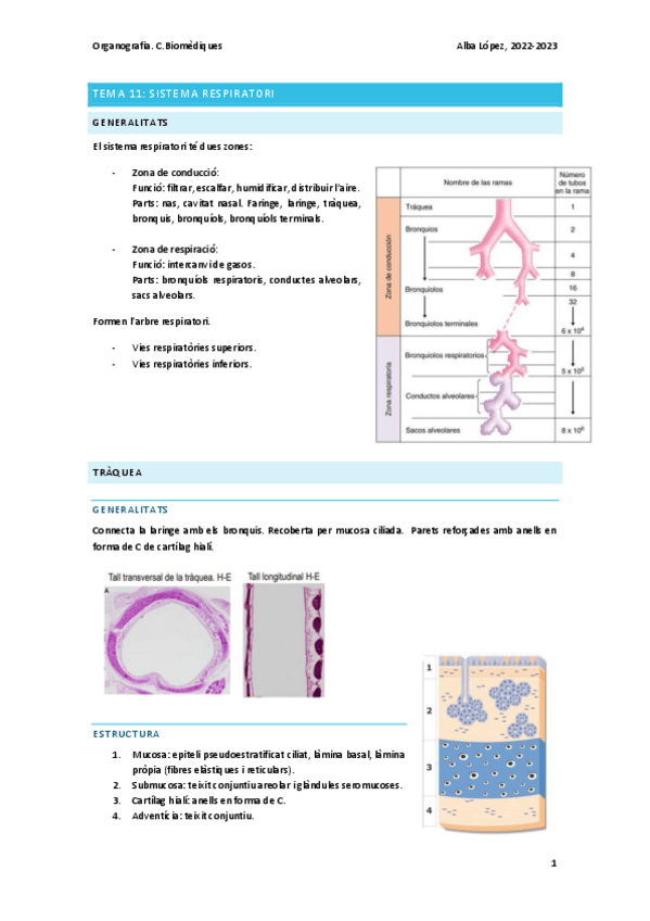 Miniatura del documento Tema-11-sistema-respiratori.pdf