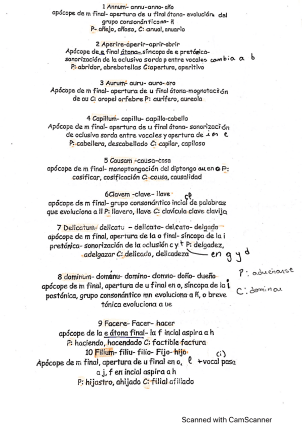 Miniatura del documento Etimologia-latina.pdf