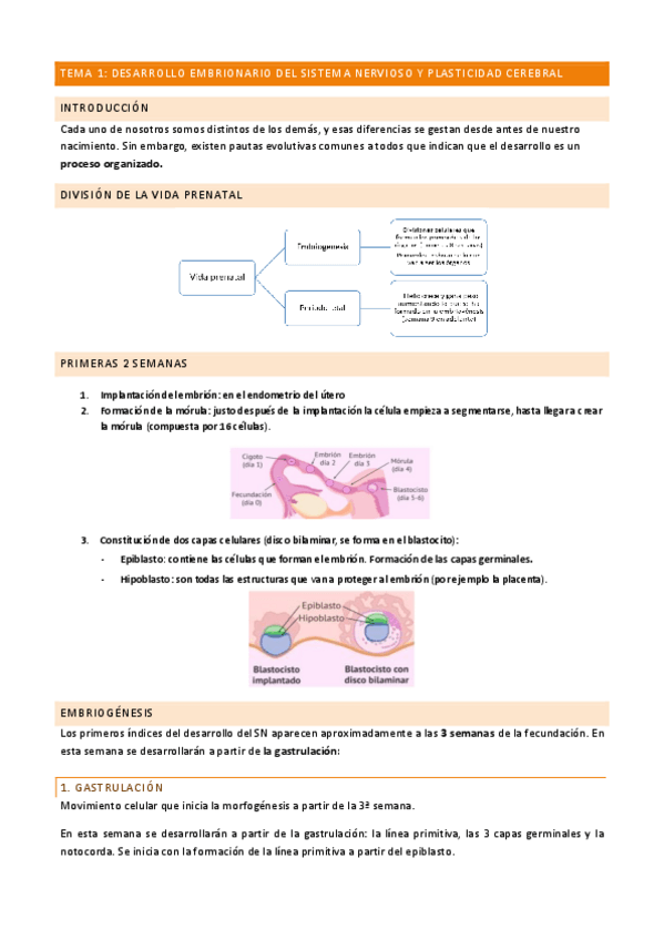Miniatura del documento TEMA-1.pdf